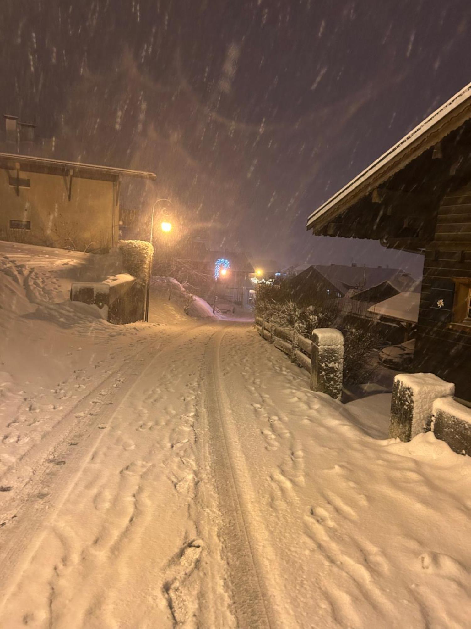 Le Hameau Des 4 Saisons Daire Châtel Dış mekan fotoğraf